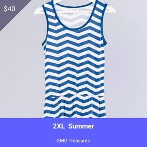 Blue white summer dress nwt